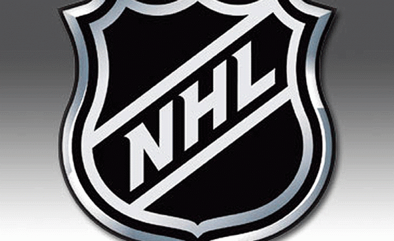 top-10-best-ice-hockey-leagues-the-hockey-writers