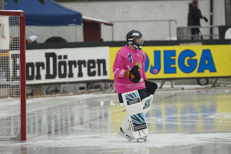 Bandy The Other Ice Hockey